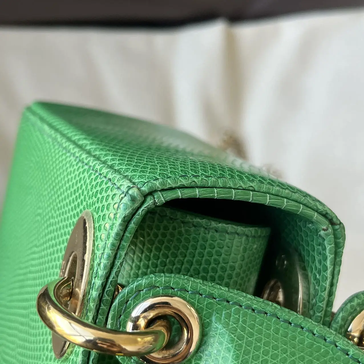 DIOR Mini Lady Dior Bag Python Leather Limited Version DIOR Mini Lady Dior Bag Python Leather Limited Version