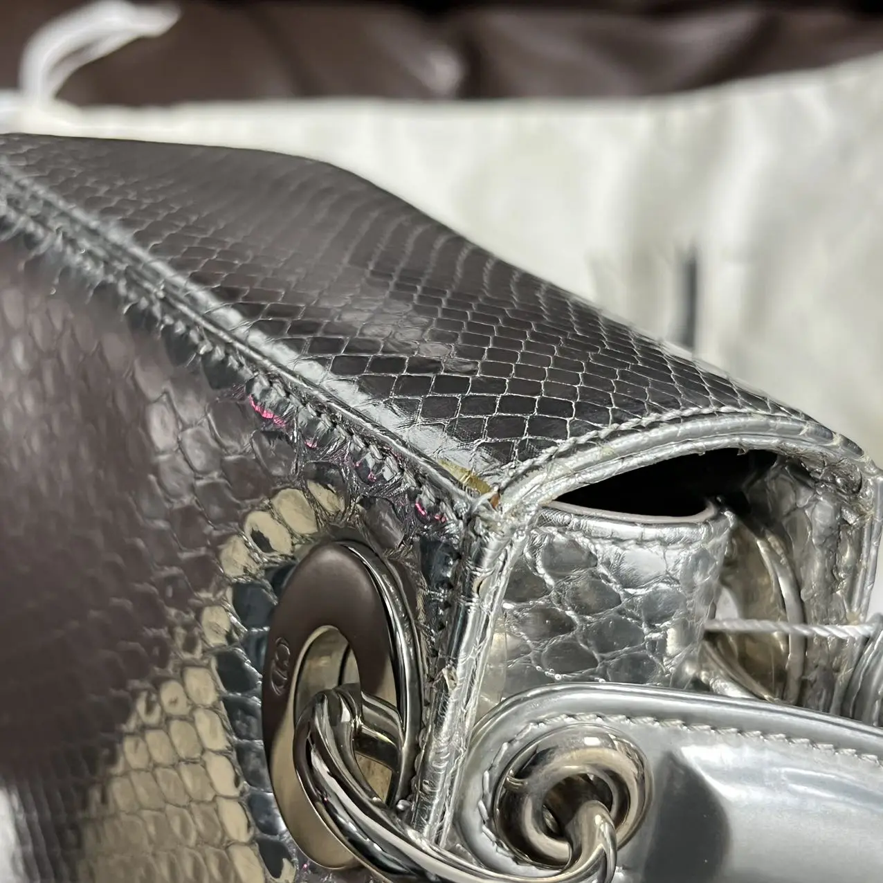 DIOR Mini Lady Dior Bag Python Leather Limited Version DIOR Mini Lady Dior Bag Python Leather Limited Version