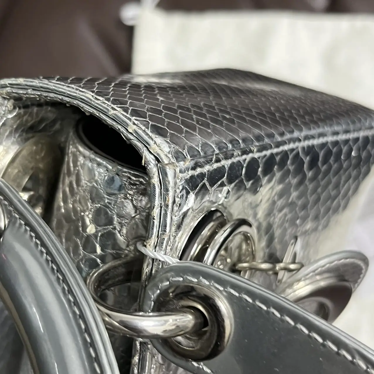 DIOR Mini Lady Dior Bag Python Leather Limited Version DIOR Mini Lady Dior Bag Python Leather Limited Version