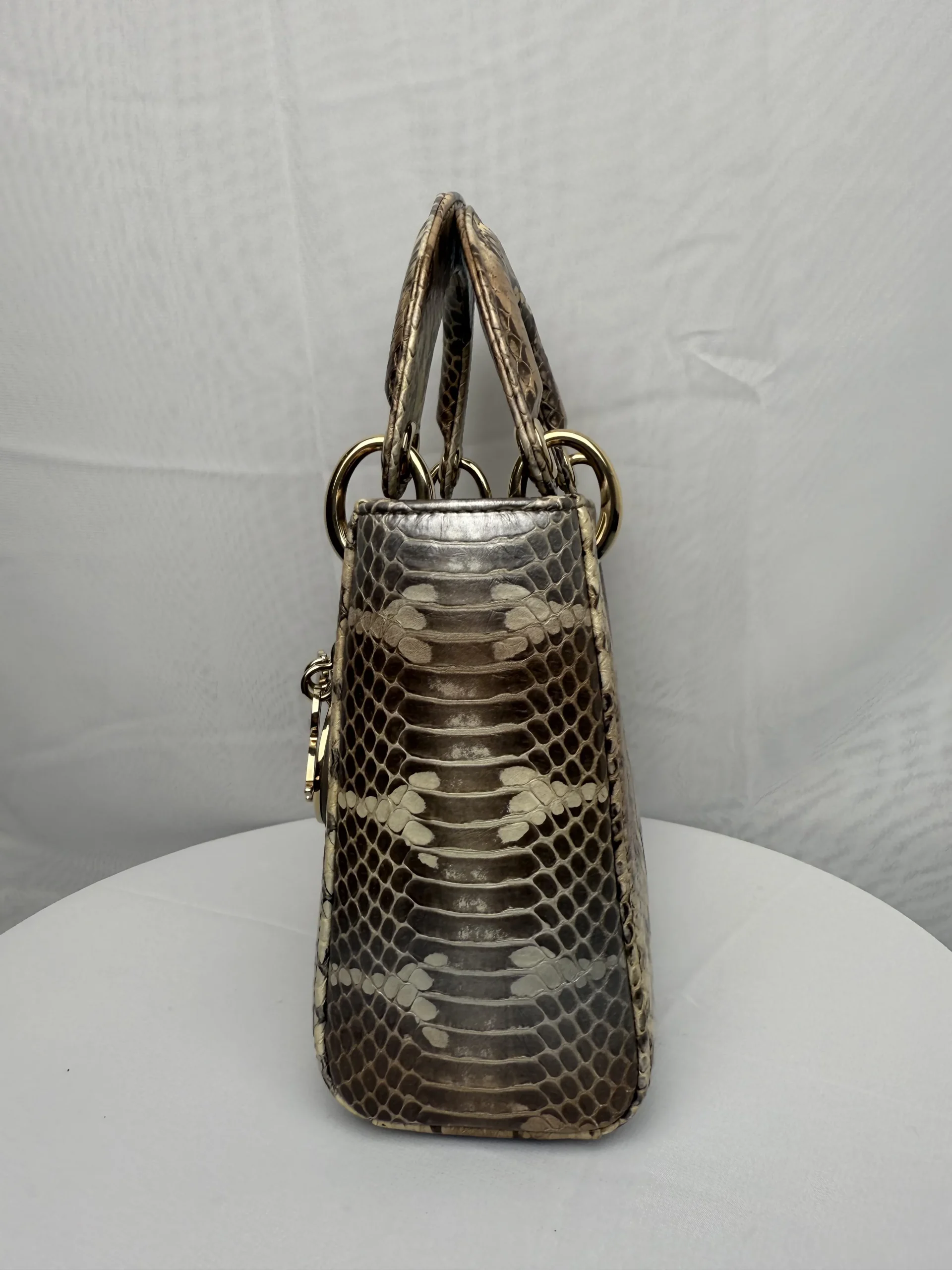 DIOR Mini Lady Dior Bag Python Leather Limited DIOR Mini Lady Dior Bag Python Leather Limited