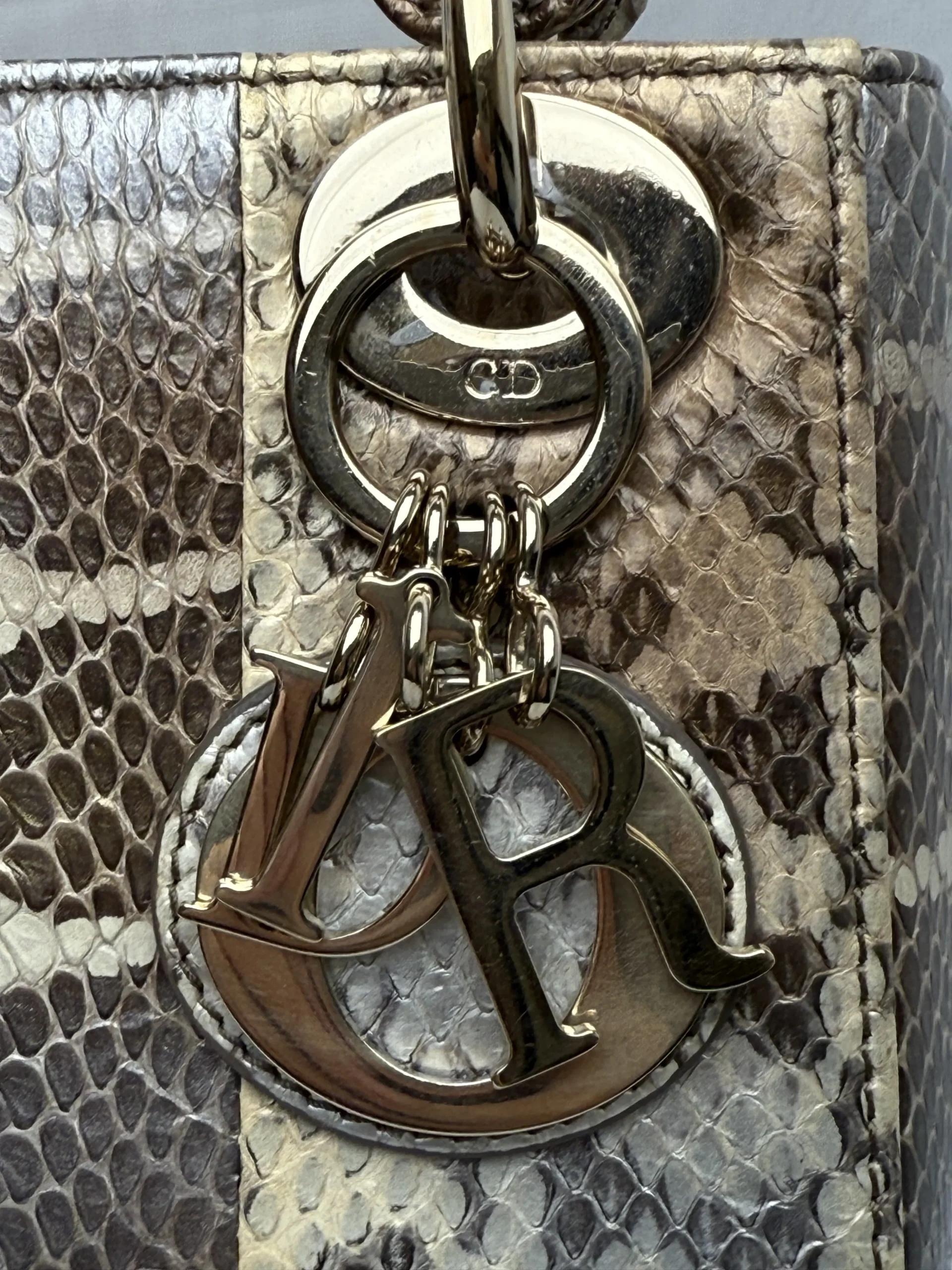 DIOR Mini Lady Dior Bag Python Leather Limited DIOR Mini Lady Dior Bag Python Leather Limited