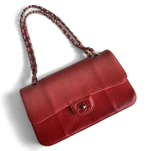 CHANEL Medium Classic Double Flap Bag Pink Ombré Python