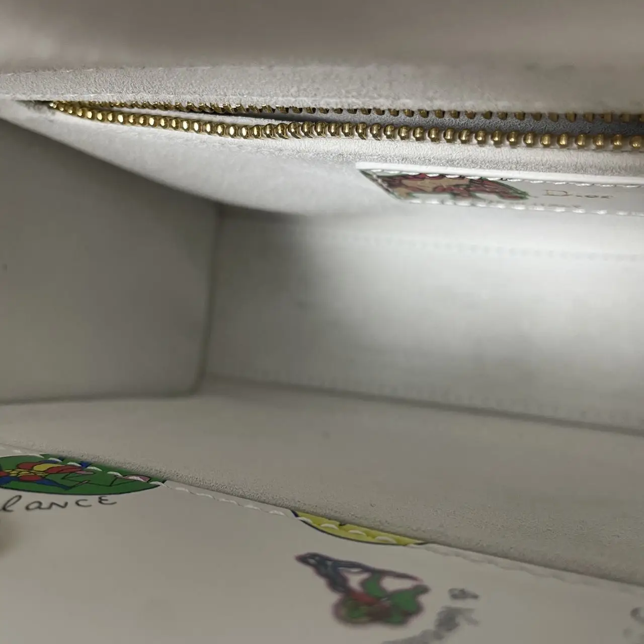 DIOR Lady Dior Printed Calfskin Mini Bag DIOR Lady Dior Printed Calfskin Mini Bag