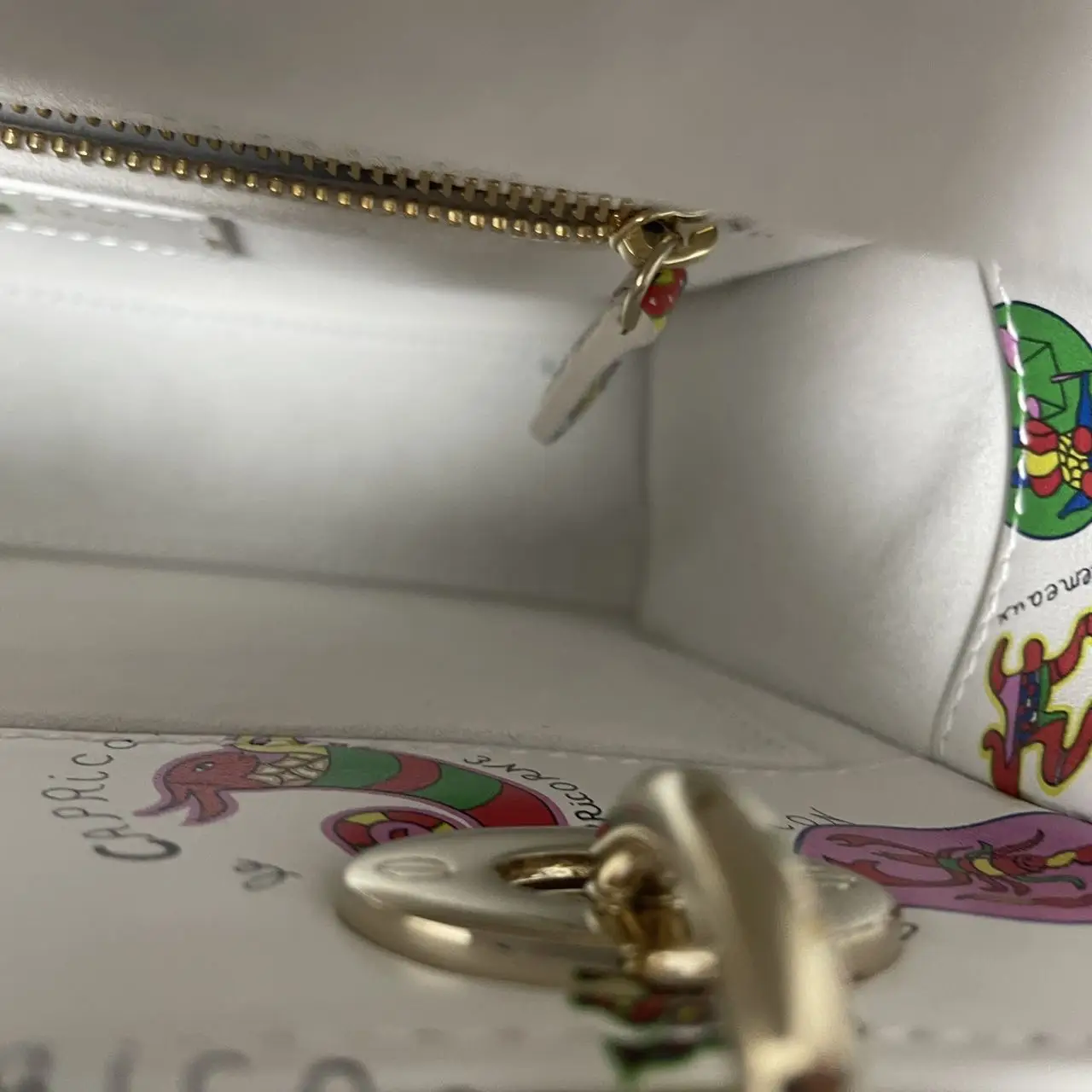 DIOR Lady Dior Printed Calfskin Mini Bag DIOR Lady Dior Printed Calfskin Mini Bag