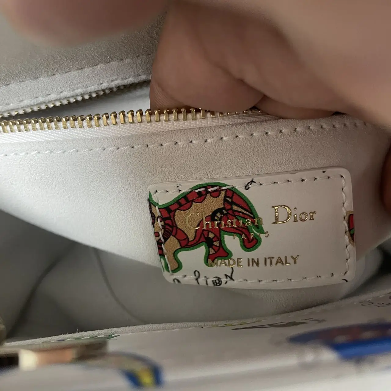 DIOR Lady Dior Printed Calfskin Mini Bag DIOR Lady Dior Printed Calfskin Mini Bag