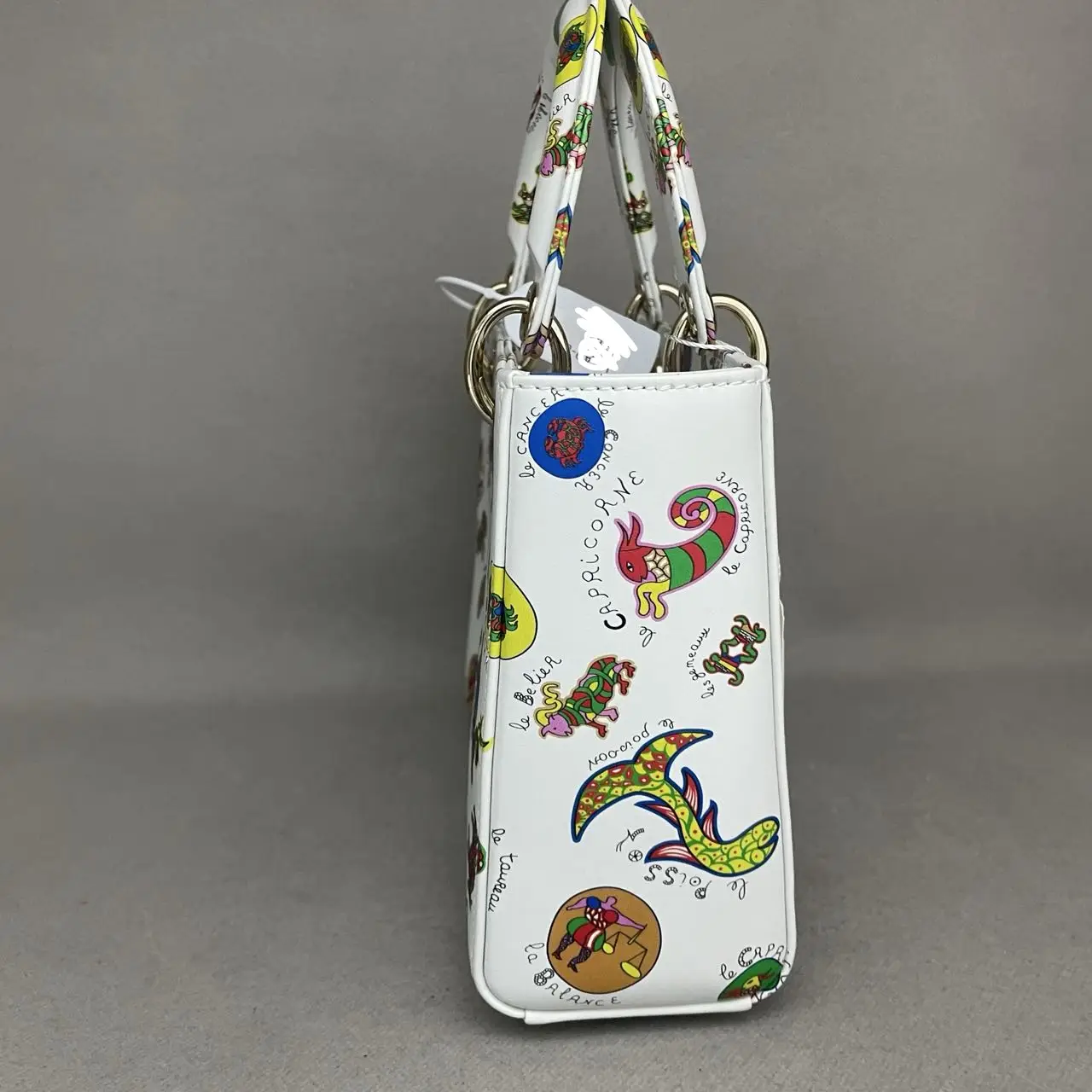 DIOR Lady Dior Printed Calfskin Mini Bag DIOR Lady Dior Printed Calfskin Mini Bag