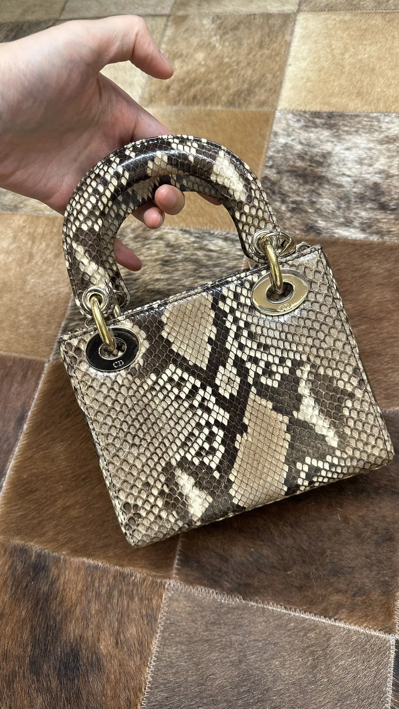 DIOR Mini Lady Dior Bag Python Leather Limited DIOR Mini Lady Dior Bag Python Leather Limited
