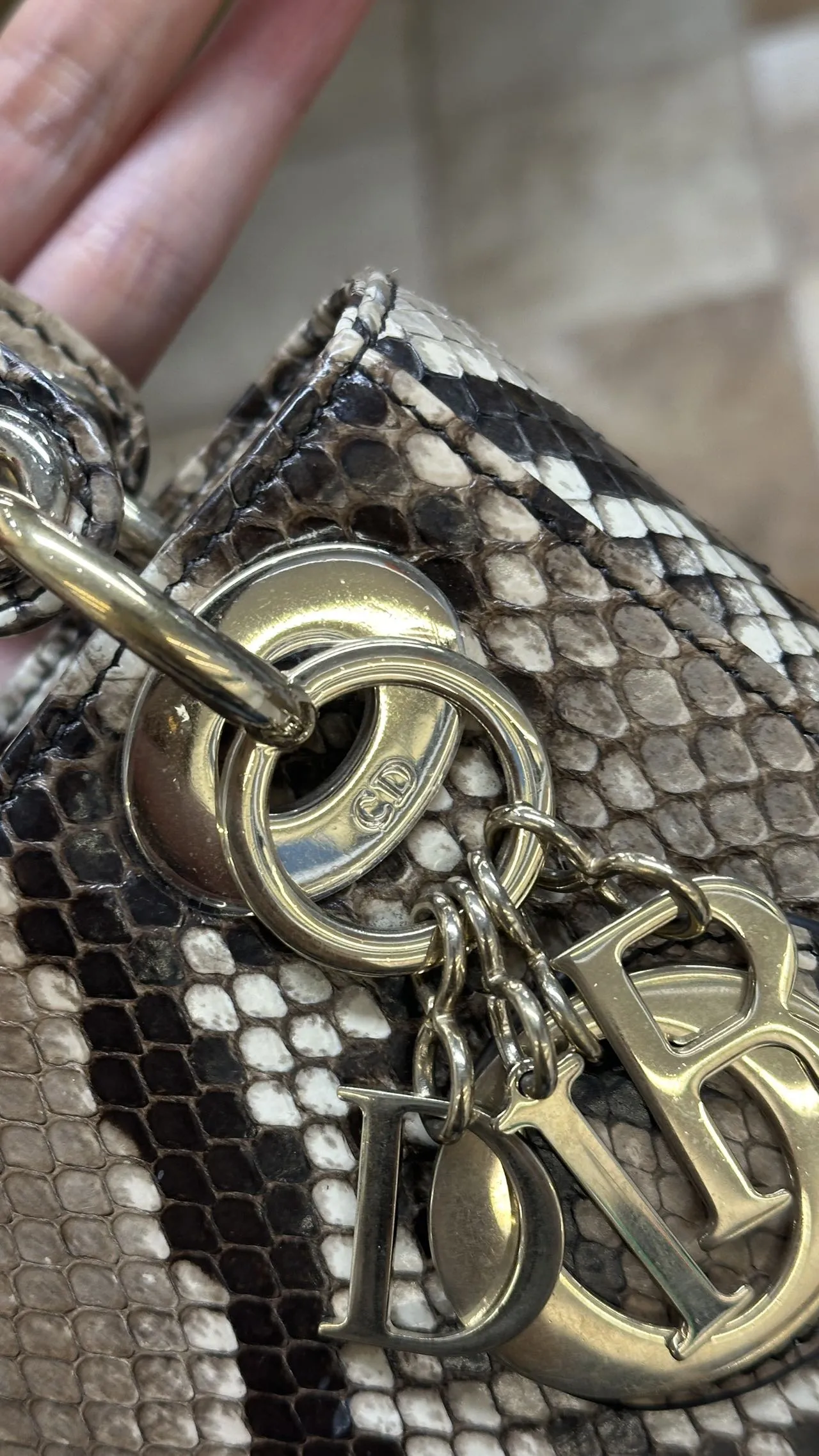 DIOR Mini Lady Dior Bag Python Leather Limited DIOR Mini Lady Dior Bag Python Leather Limited