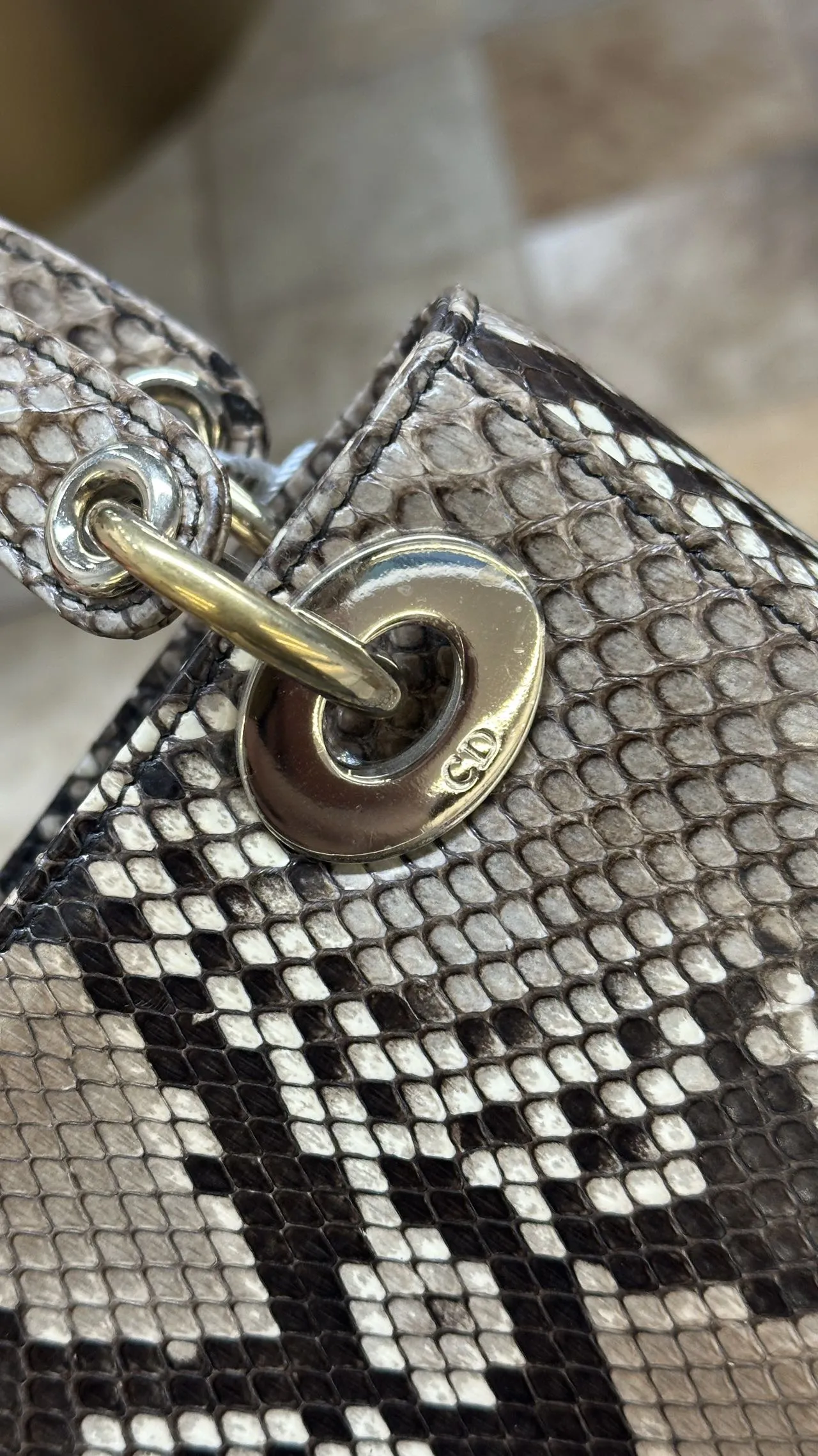 DIOR Mini Lady Dior Bag Python Leather Limited DIOR Mini Lady Dior Bag Python Leather Limited