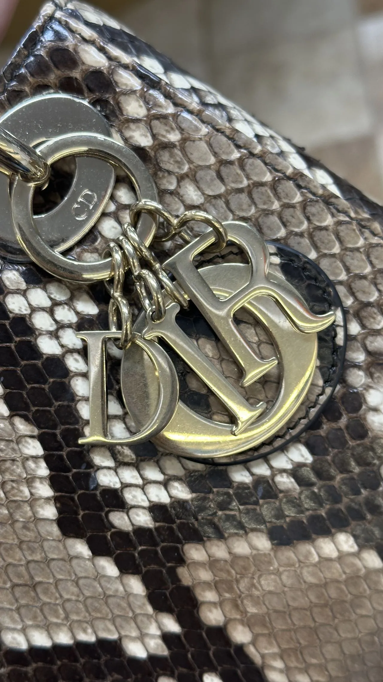 DIOR Mini Lady Dior Bag Python Leather Limited DIOR Mini Lady Dior Bag Python Leather Limited