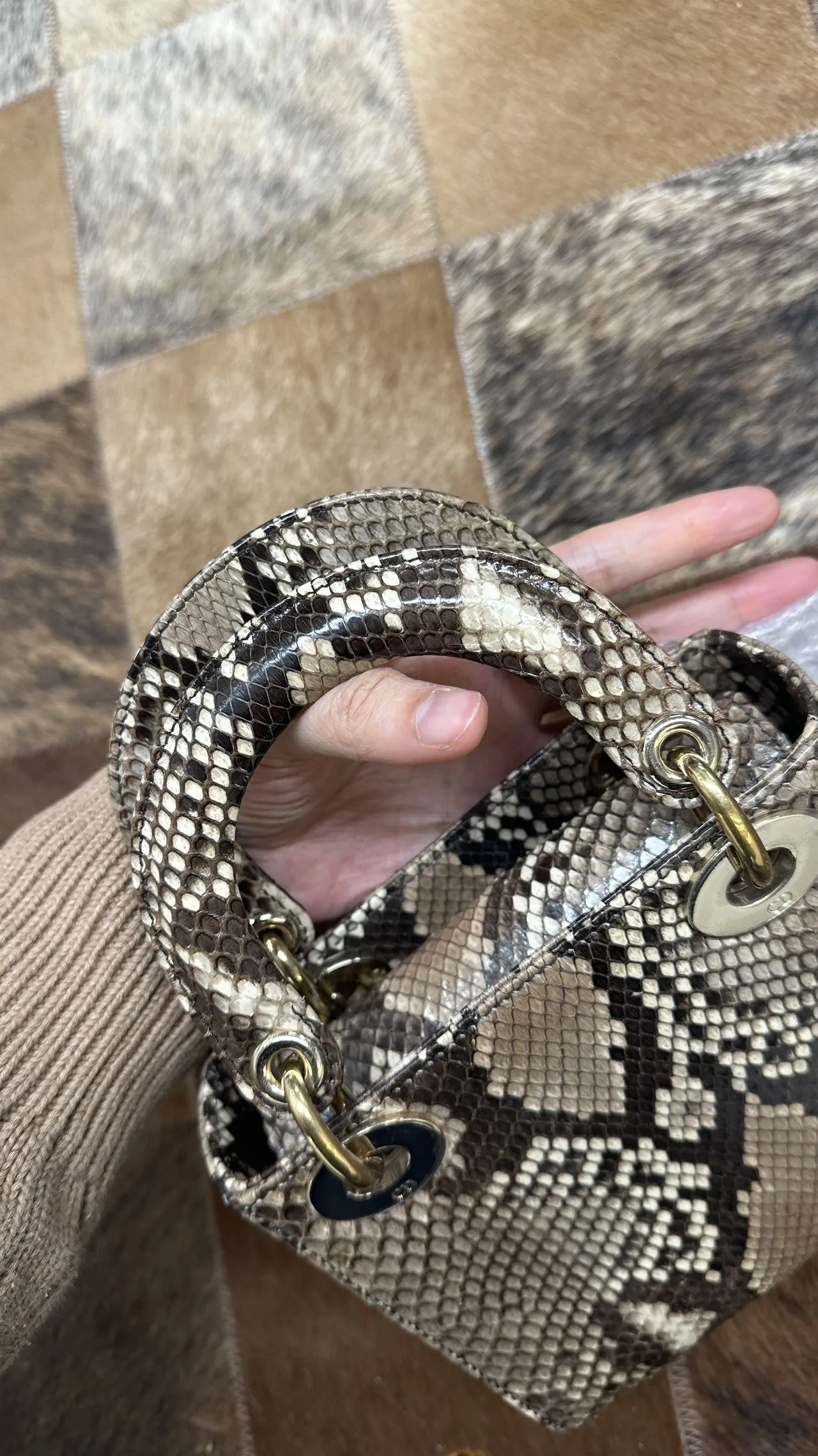 DIOR Mini Lady Dior Bag Python Leather Limited DIOR Mini Lady Dior Bag Python Leather Limited