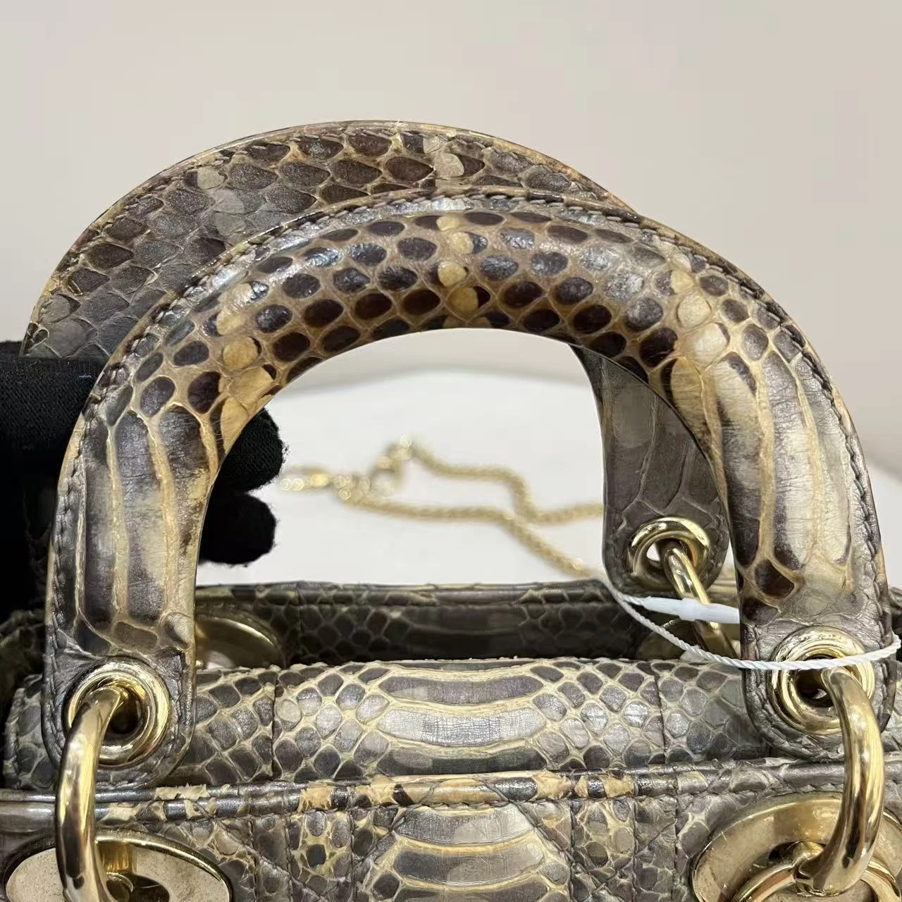 DIOR Lady Dior Mini Bag Python Leather Collection Exotic Limited Version DIOR Lady Dior Mini Bag Python Leather Collection Exotic Limited Version