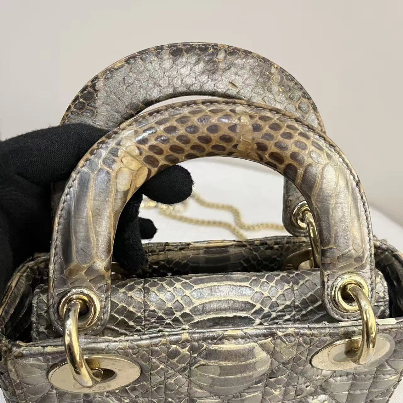 DIOR Lady Dior Mini Bag Python Leather Collection Exotic Limited Version DIOR Lady Dior Mini Bag Python Leather Collection Exotic Limited Version